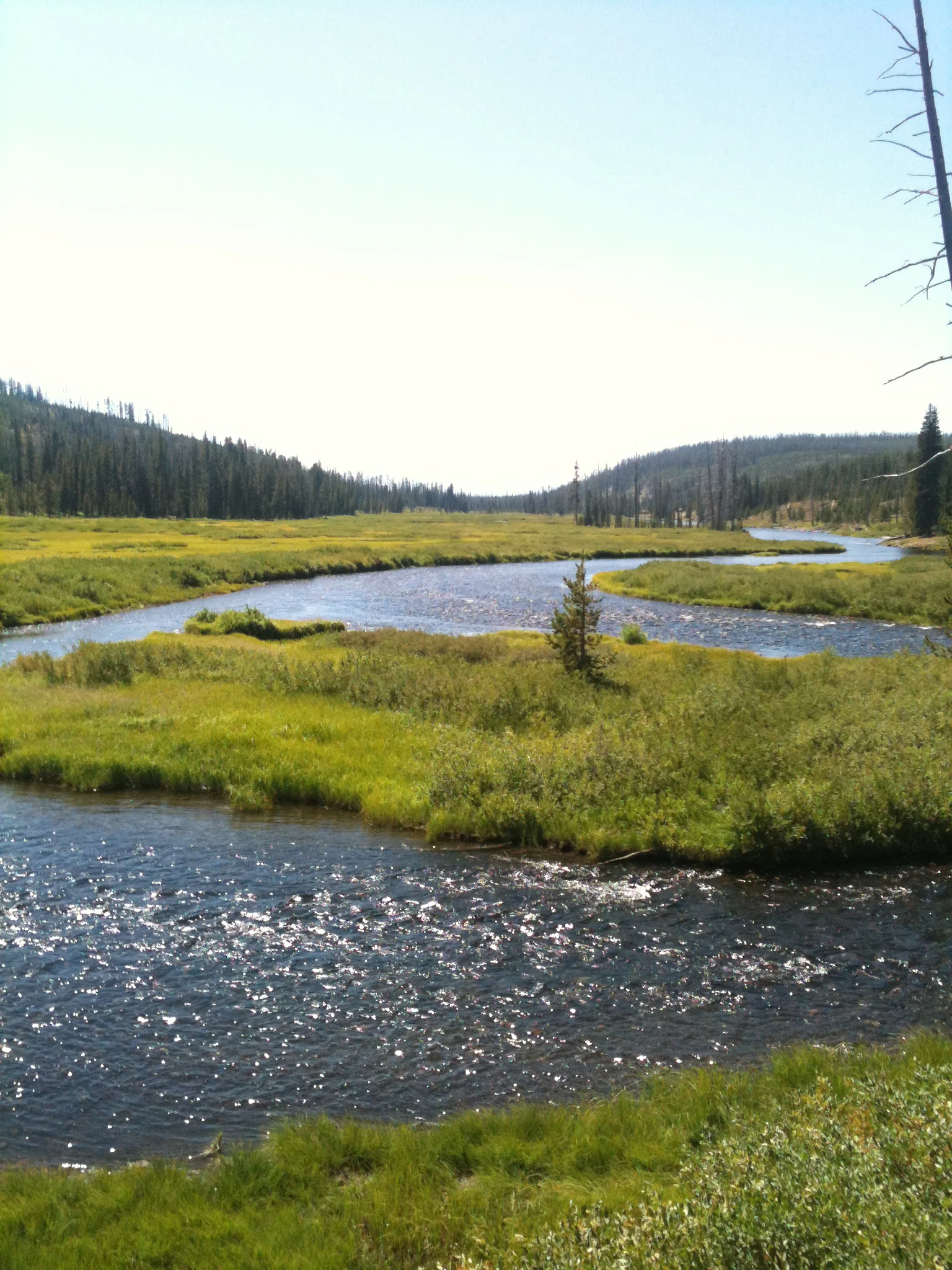IMG_3712.jpg