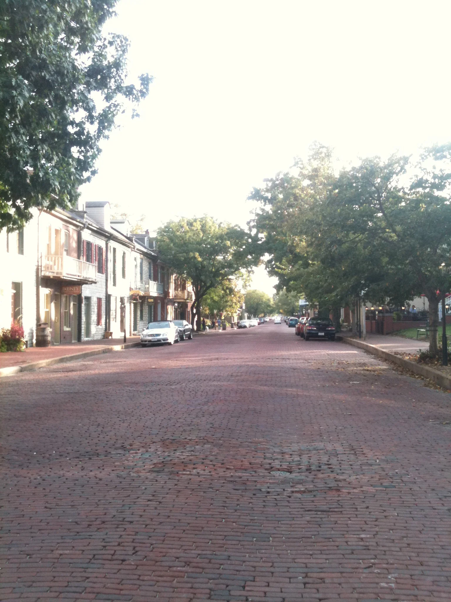 IMG_4443.jpg