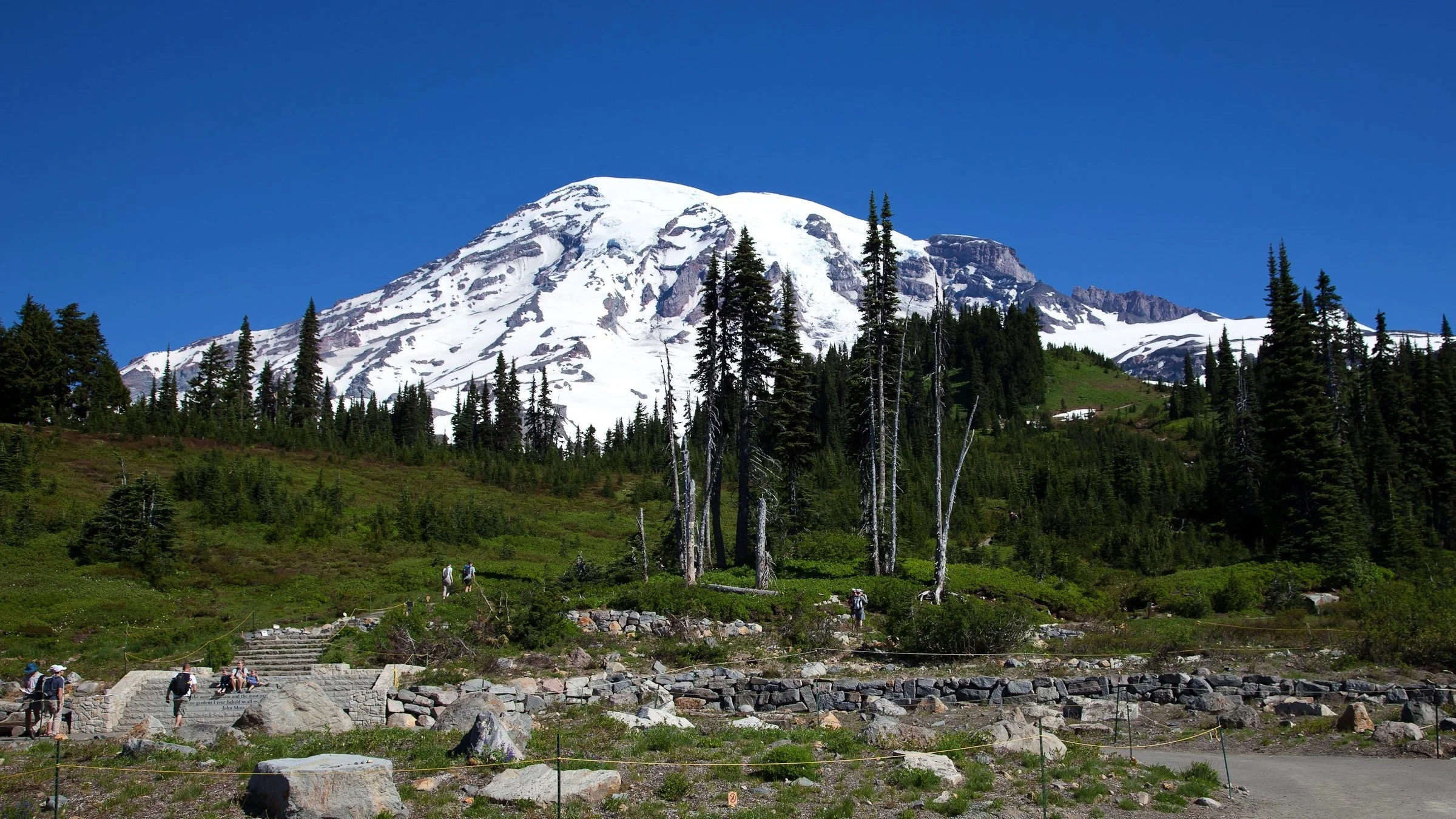 Rainier-9210.jpg