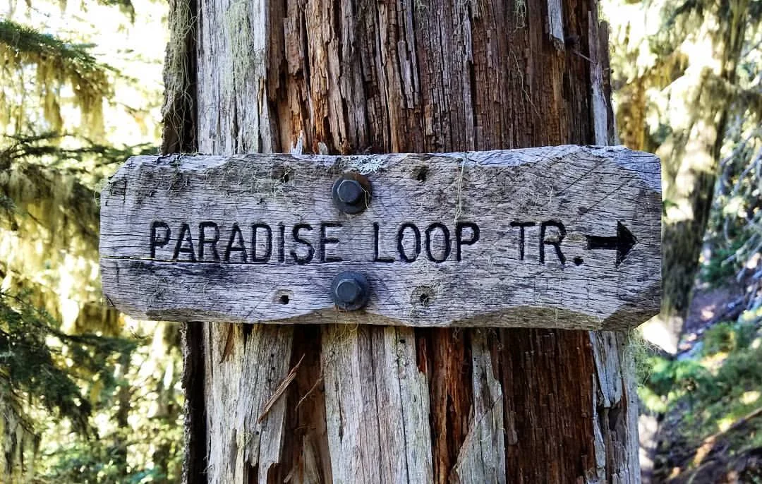 Paradise Loop, a worthy side trip which only added a mile