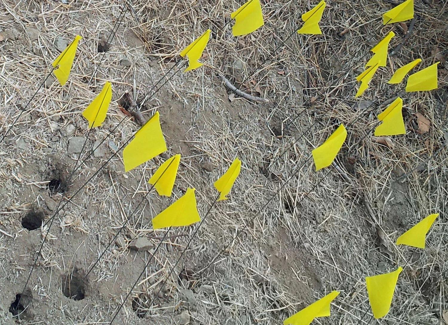 website - safety zone - marker flags gopher.jpg