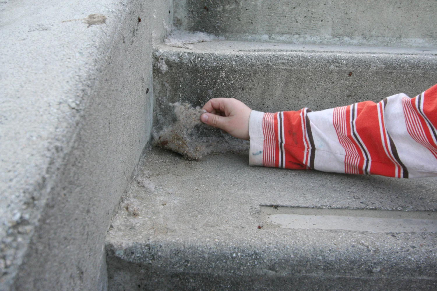 peeling a sheet from Cardiac Hill stairwell