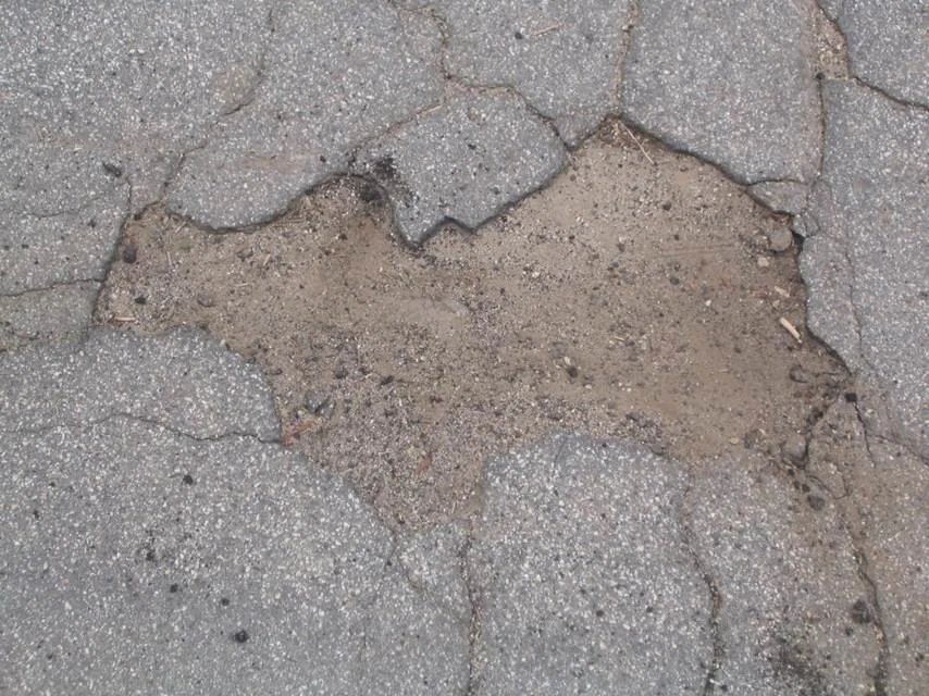 asphalt cracks - camel.jpg