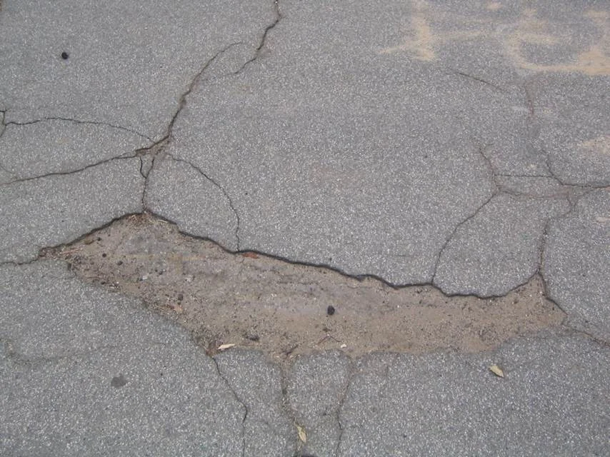 asphalt cracks - whale.jpg