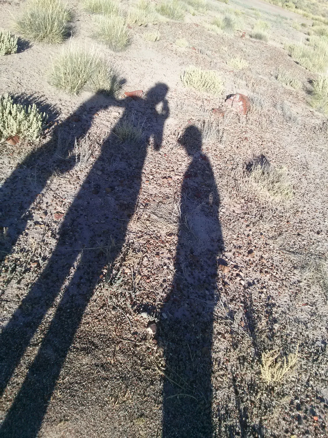 Threee - SR--Day2 - Rainbow Forest, Petrified Forest.jpg