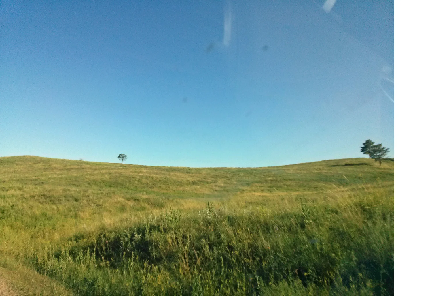 Threee - Custer State Park margins.jpg
