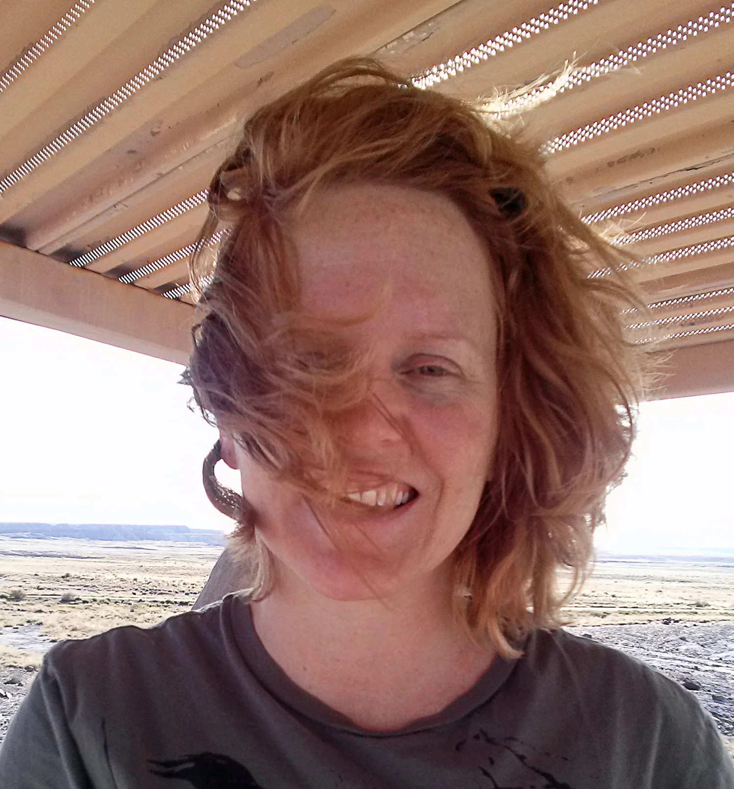 web.HAIR - 6-14- Petrified-Forest,-AZ-(12).jpg