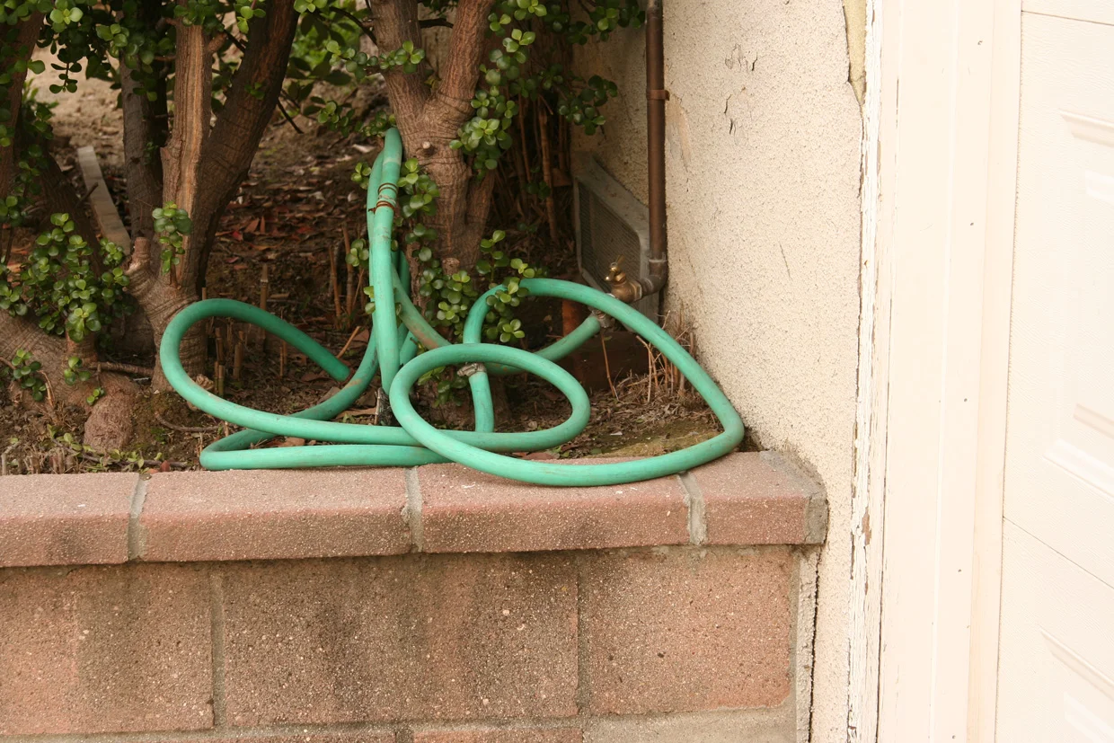 Image5.jpg
