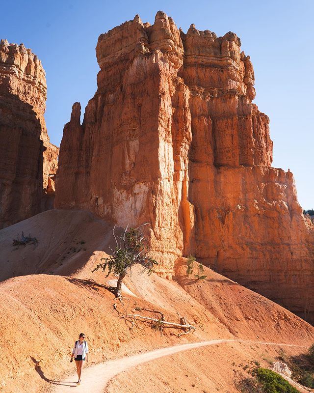 Getting lost among the towers and hoodoos of Bryce Canyon last weekend with @lasternick
.
.
.
.
#sonyimages #sonyalpha #sonya7rii #wonderful_places #moodygrams #exploretocreate #travelphotography #travelpics #traveladdict #travelphotographer #travele