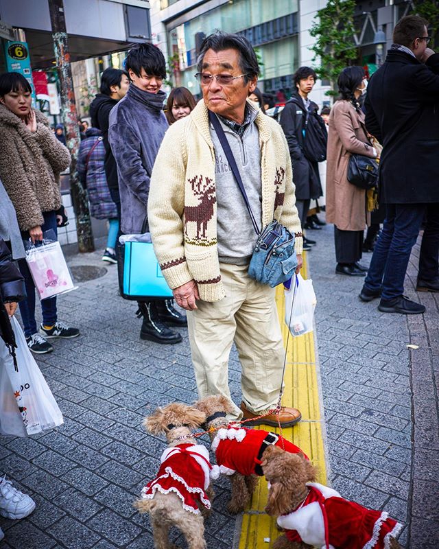 Found my aesthetic spirit guide in Tokyo last year. Just need to get two more dogs to wear matching Santa outfits with Sterling 🐶 
___________________________
#moodygrams #agameoftones #artofvisuals #artisanofimagery #keepexploring #lifeofadventures