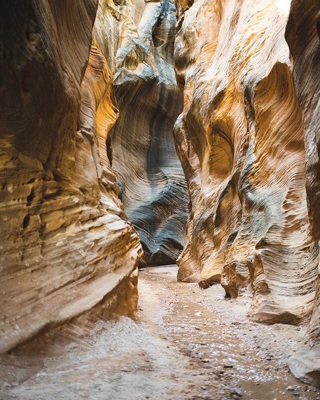 That time we drove our 2wd rental car down a winding, steep, pitted dirt road so we could get to the trailhead of this incredible slot canyon. Came back covered in a thick layer of dust with big smiles on our faces 😃
.
.
.
.
#sonyimages #sonyalpha #