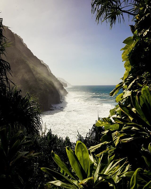 Missing this place with its incredible hikes, waves, views and people. Not the last time I&rsquo;ll be here 🌴 .
.
.
.
#sonyimages #sonyalpha #sonya7rii #wonderful_places #moodygrams #exploretocreate #travelphotography #travelpics #traveladdict #trav