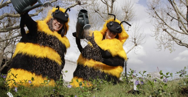 Friends of the Earth