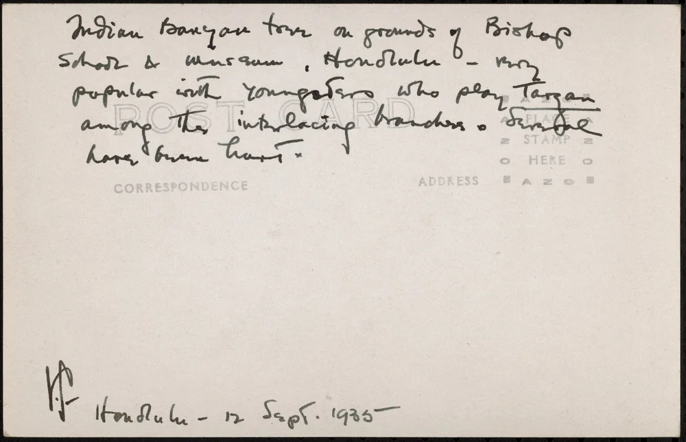 Starrett notes that the tree is popular with children who play Tarzan in its branches. 