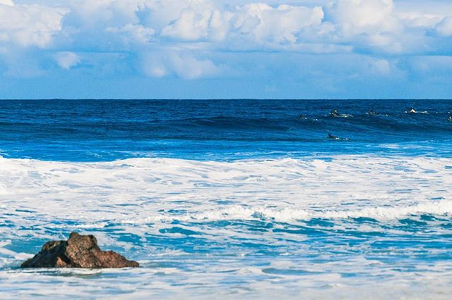 The pack getting in position for the next set at #pipeline I can’t wait to get back!
.
.
#surf #nikon #d800 #photography #ocean #hawaii #waves #surfers #bodyboarding