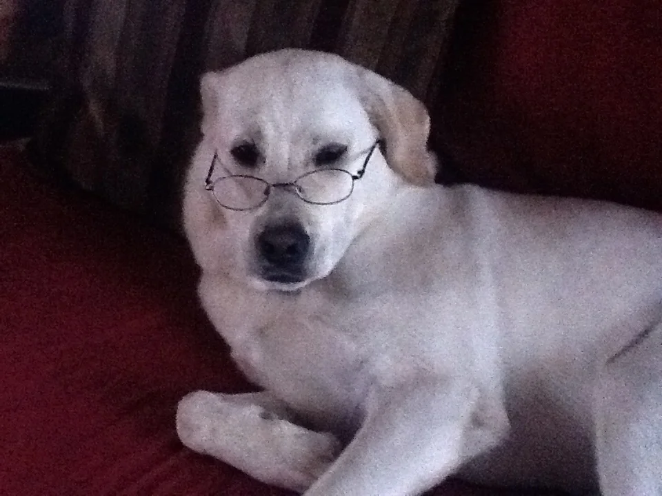  I have been looking in the kilns too much. &nbsp;It is destroying my eyes. &nbsp;I cant read the New Yorker with out these darned glasses. 