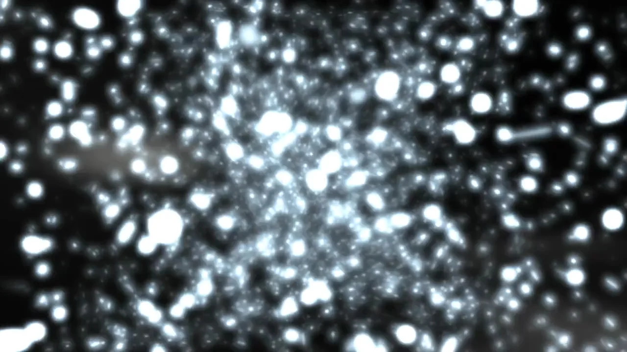 48998006_00398.jpg