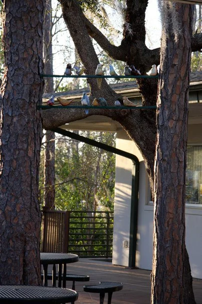 Whipple Birds on Wire.jpg