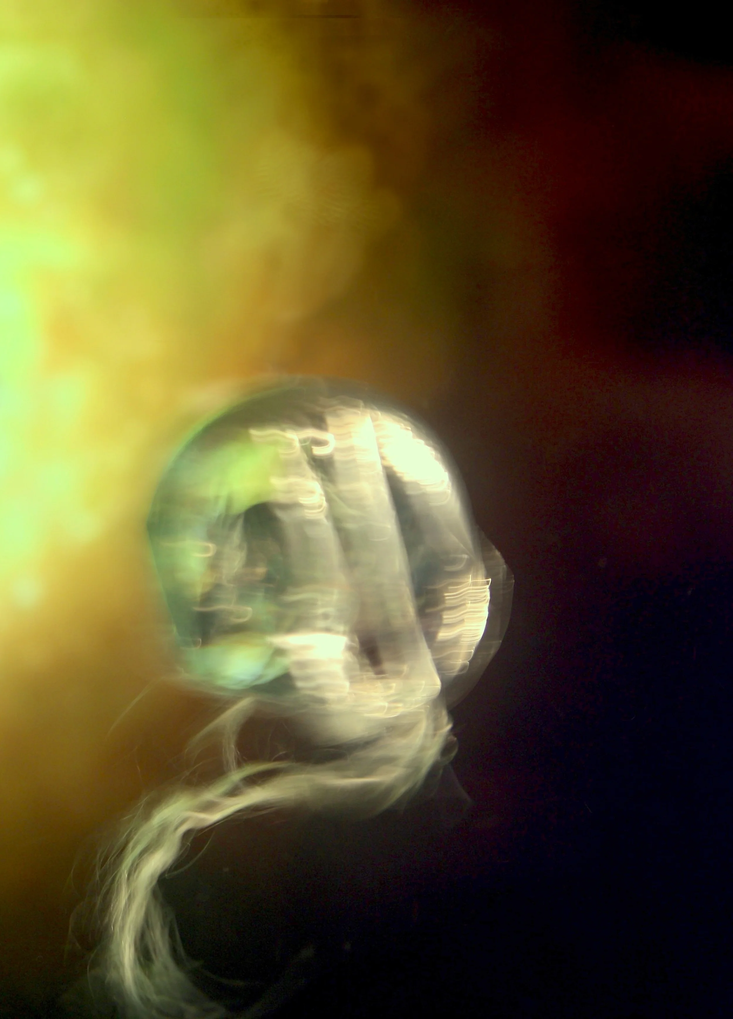 Jelly_testshot_Bubble.jpg