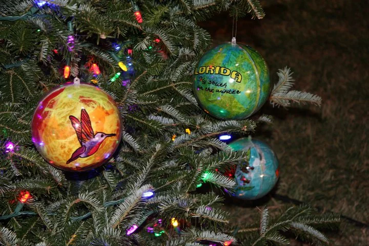 TPS National Tree ornament 2.jpg
