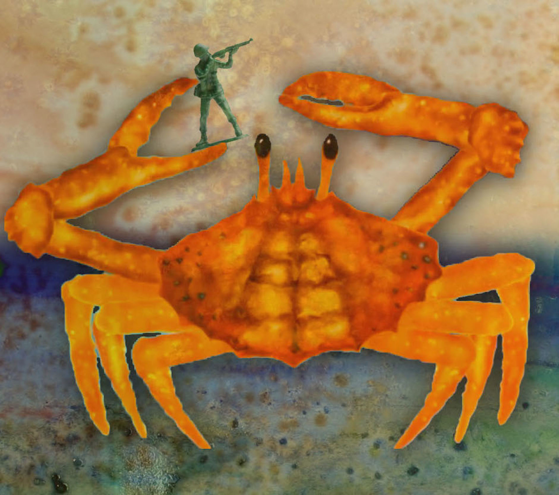 The crab finds plastic toys cluttering her ocean