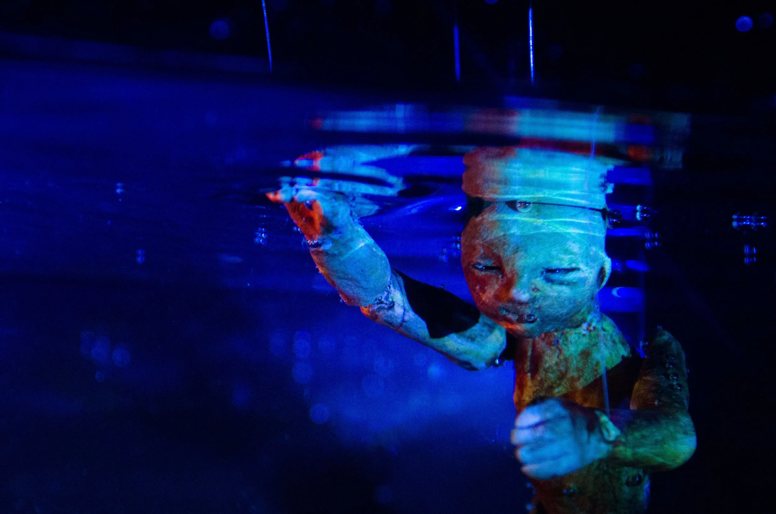 The Swimmer in "Medusa: The Immortal Jellyfish"