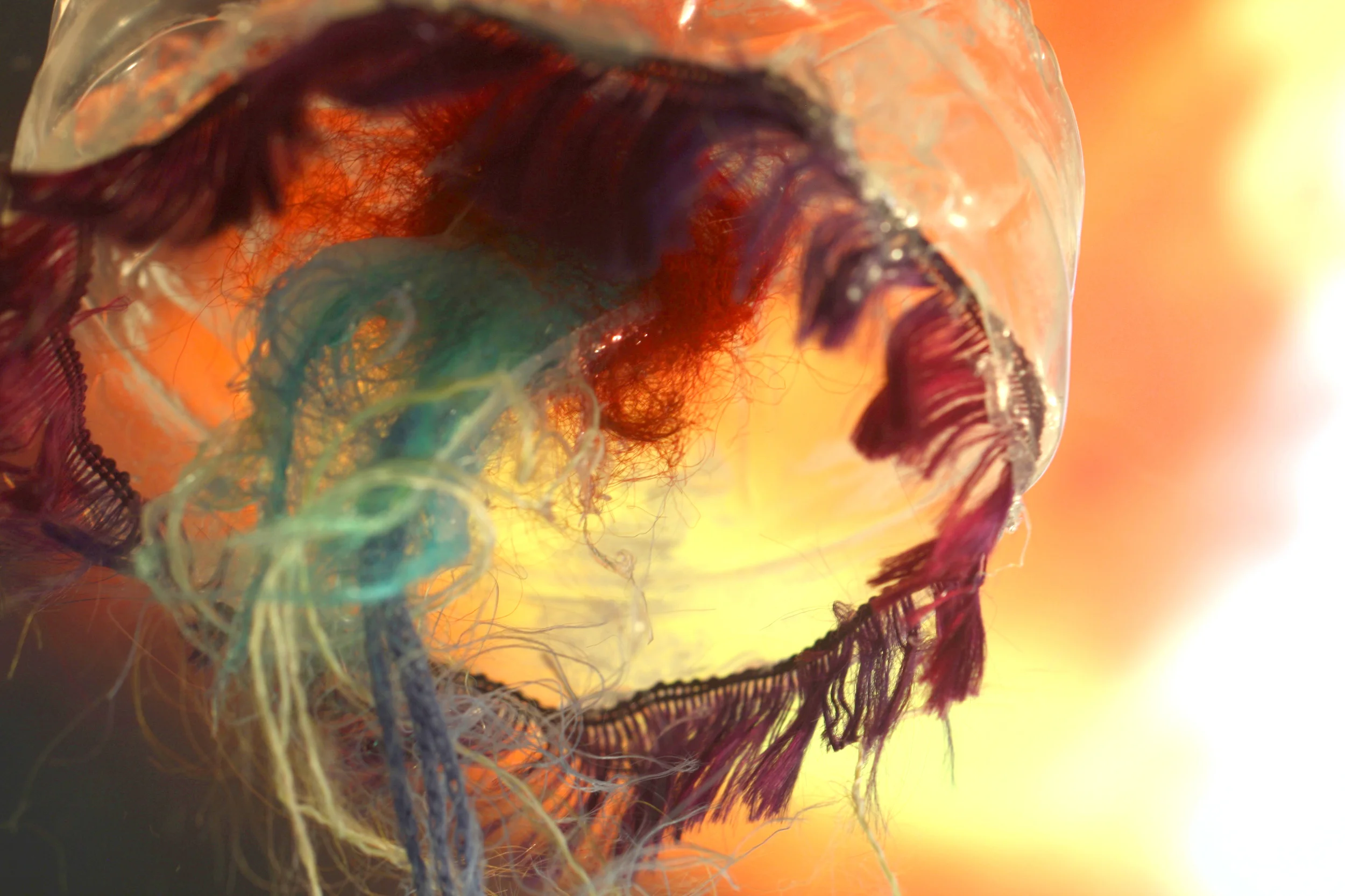 Jelly_testshot_01.jpg