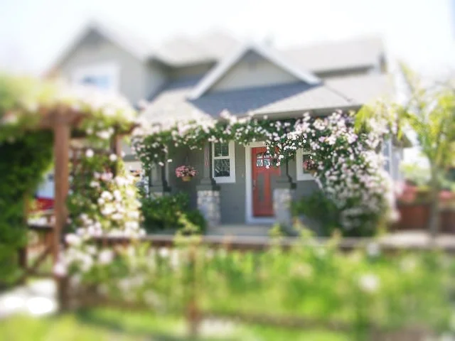 granparents cottage.jpg