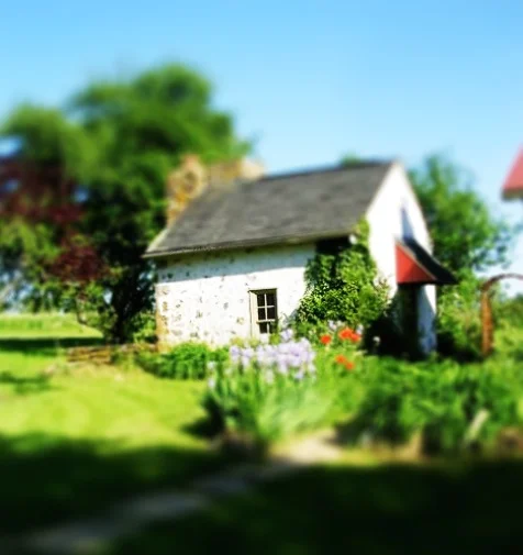 Mini Summer Kitchen.jpg