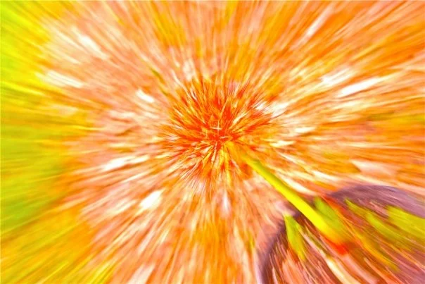 sam3.jpg