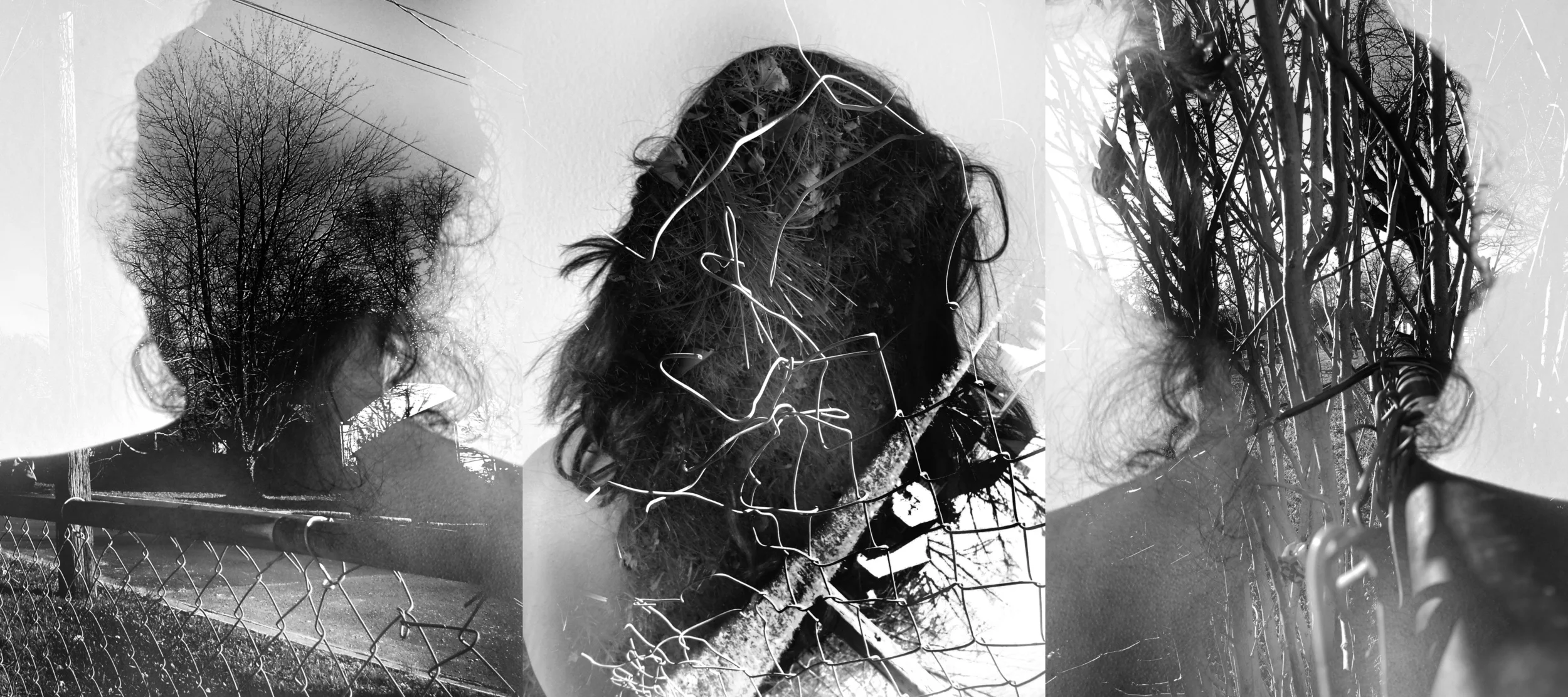 dayal_dilpreet_triptych.jpg