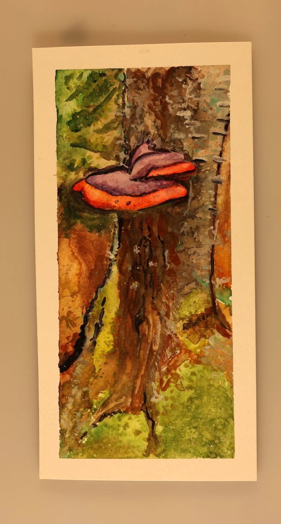 Wood Ears