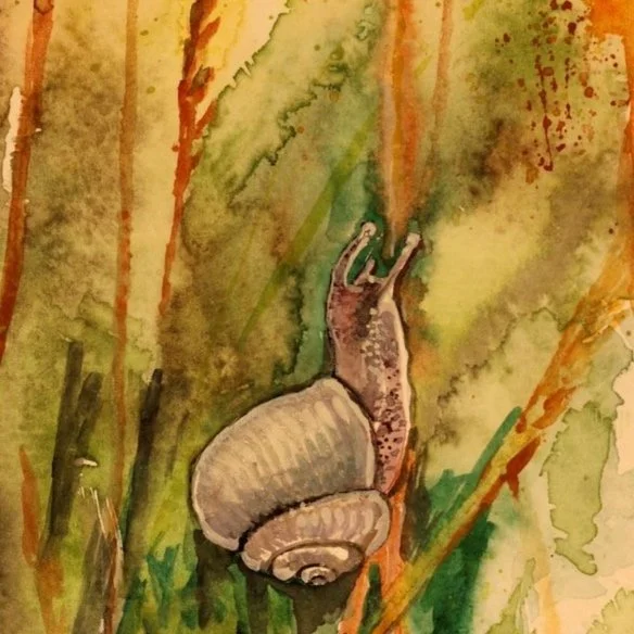 Snail+copy.jpg