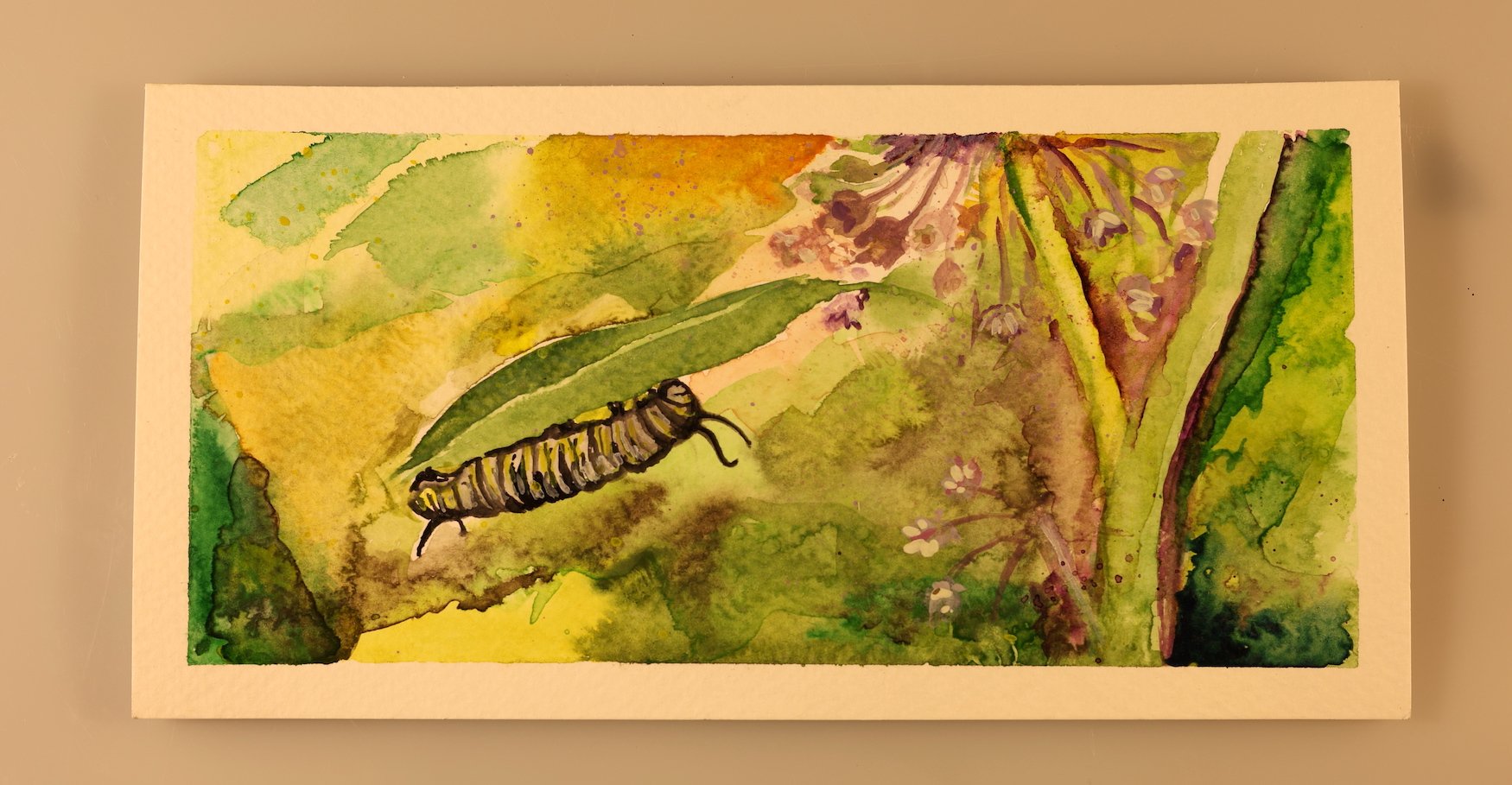 Caterpillar on Milkweed (Sold)