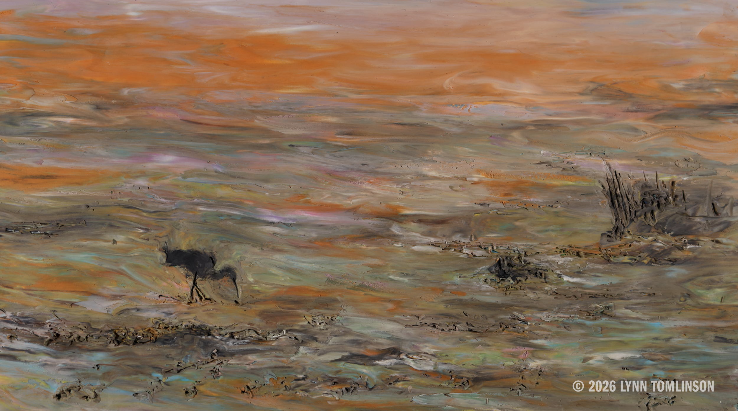 BRT_Ibis_Marsh.png