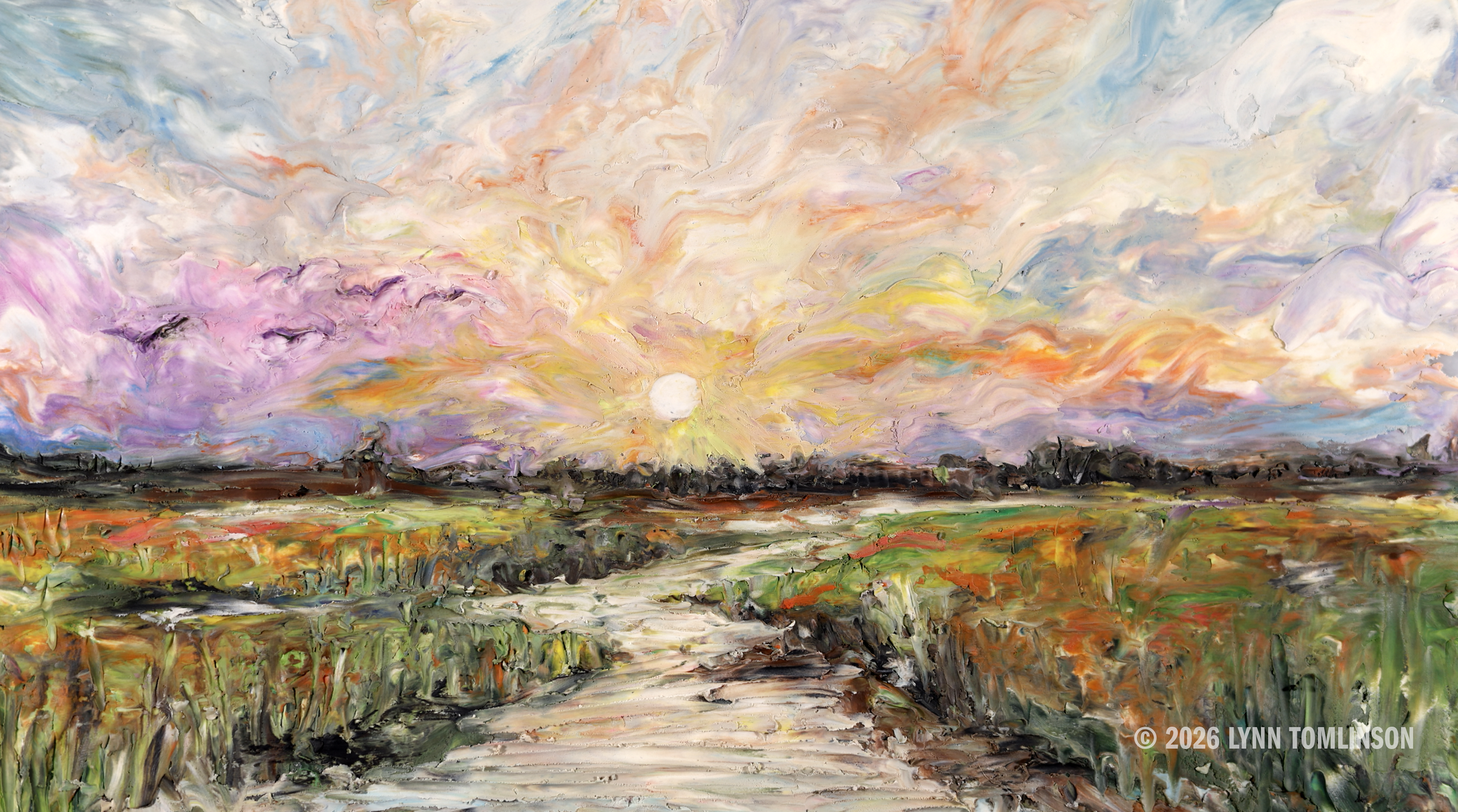 BRT_Sunset_birds_closer.png