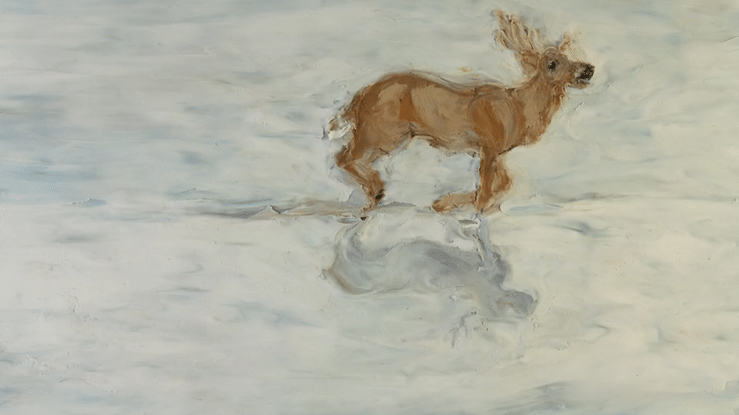 Ten Degrees of Strange Deer.gif
