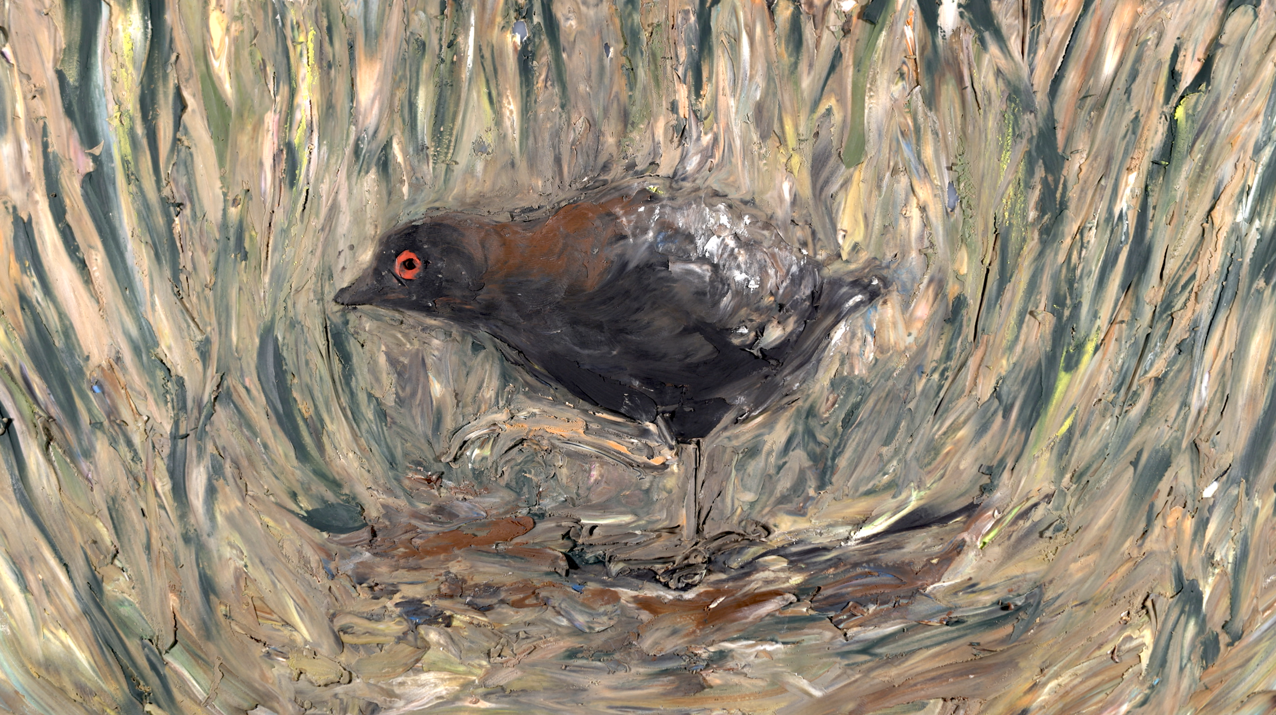 Black_Rail_Still.png