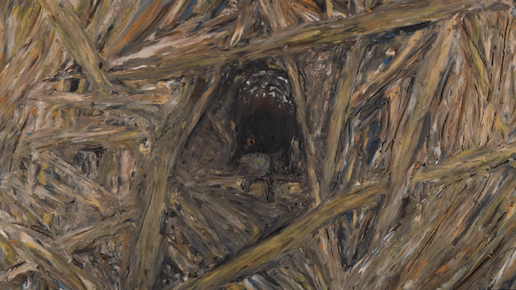 A Black Rail's Tale-high (8).gif