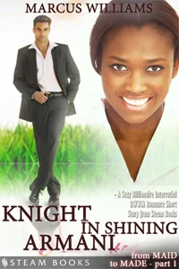 Knight in Shining Armani by Marcus Williams Available now! Amazon , Barnes & Noble , iTunes , Google-Play , All-Romance , Kobo , Scribd New!