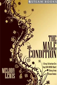 The Male Condition by Melody Lewis