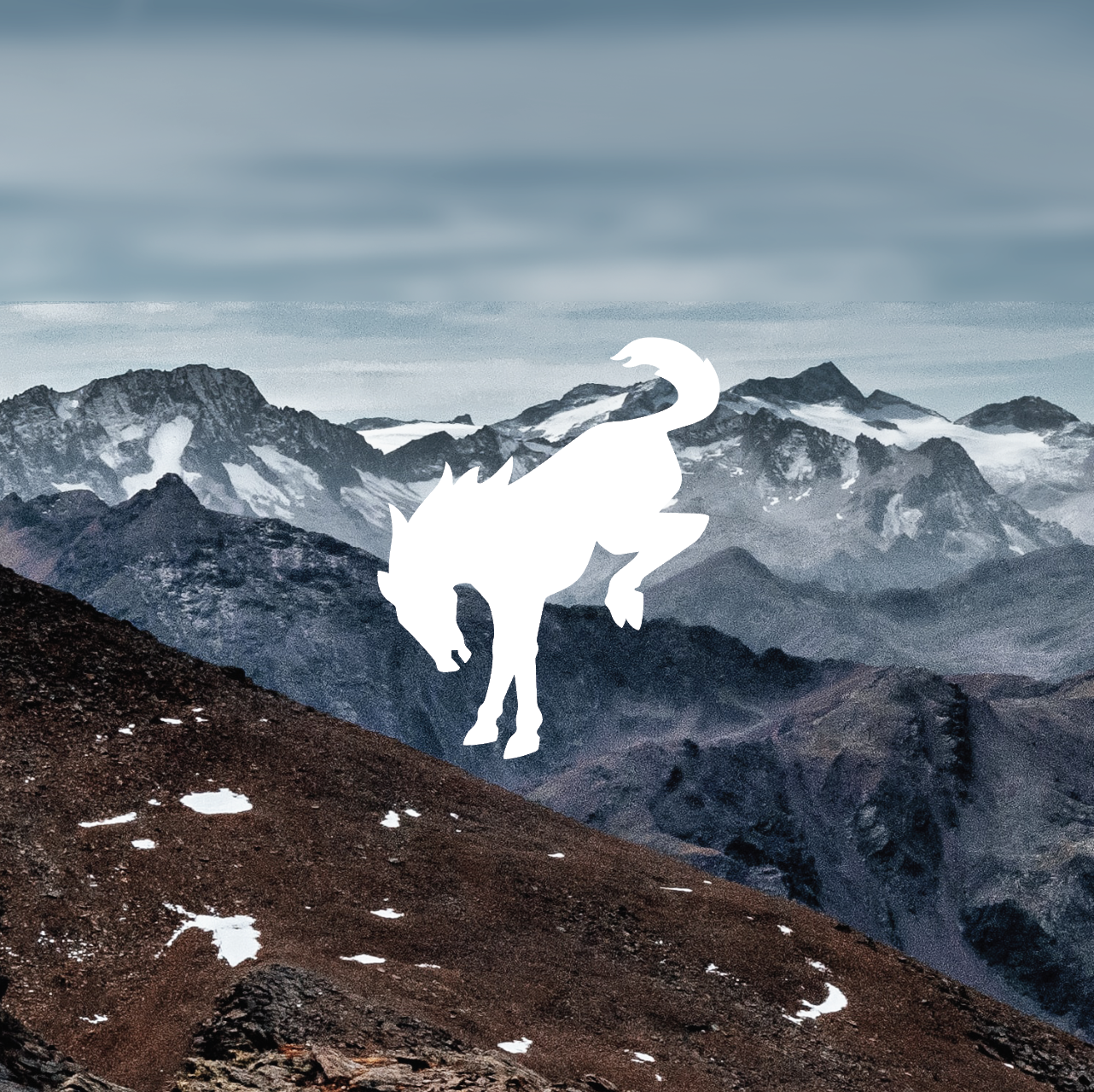 Screen Shot 2020-02-21 at 9.56.05 AM.png