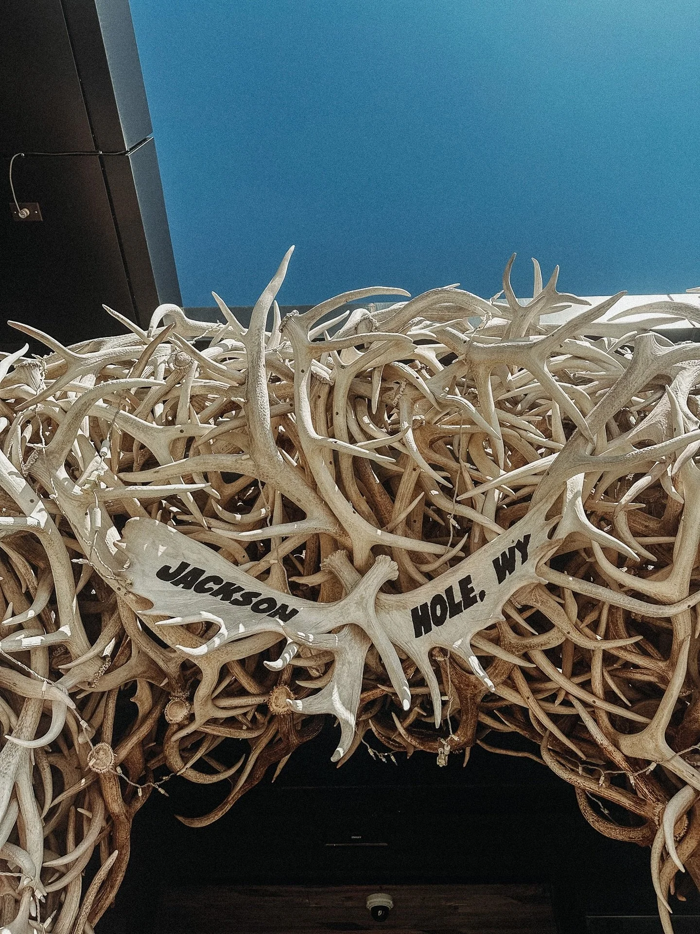 July in Jackson Hole 🏔️🤠

#wyoming #travel #nationalpark #jacksonhole #travelcouple #wildwest