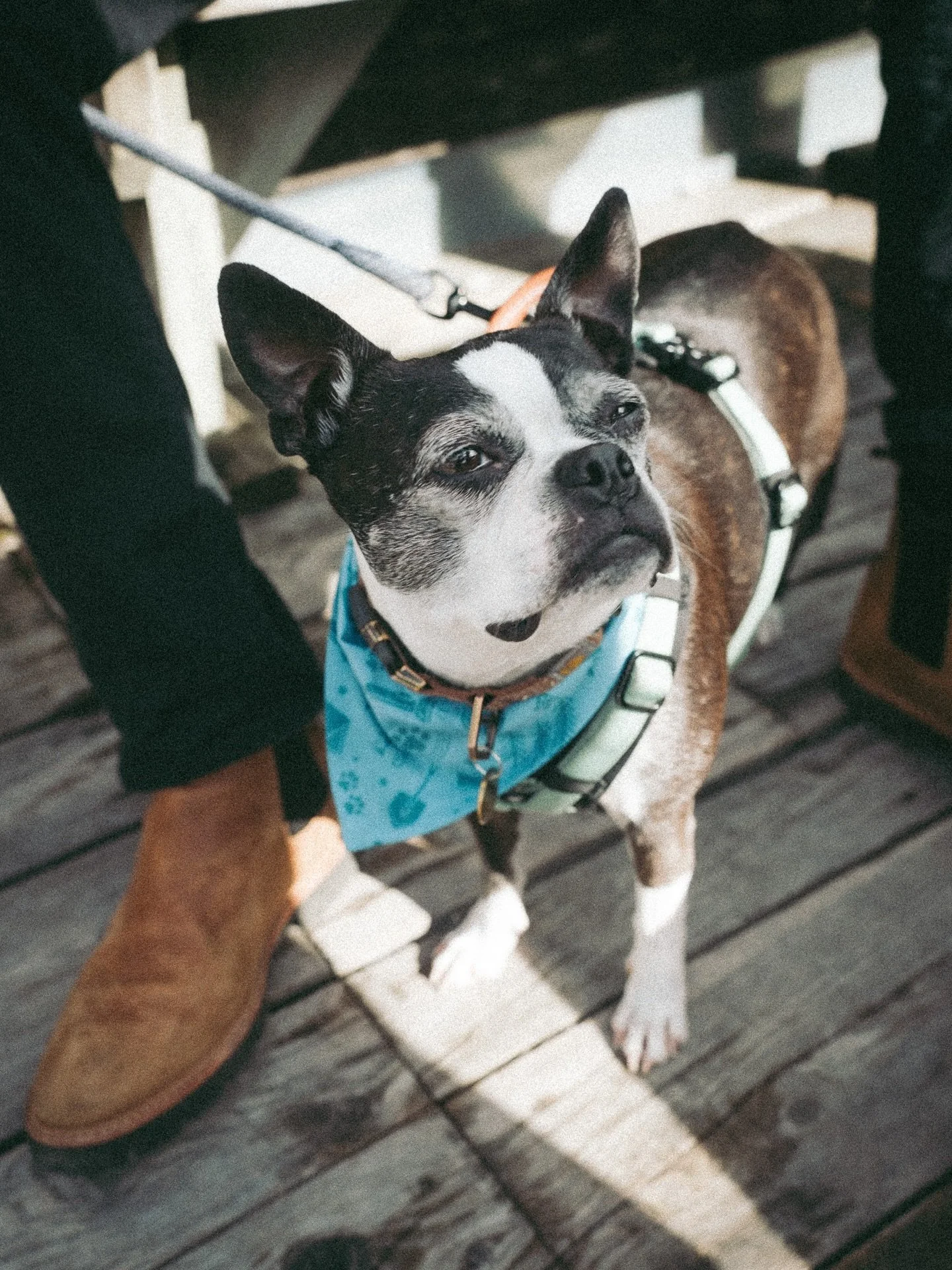 No Michigan Fall trip is complete without a stop in Fishtown. 🎣🌊🐟

#fishtown #puremichigan #lelandmichigan #upnorth #lakemichiganvibes #michiganfall #photography #travel #travelphotography