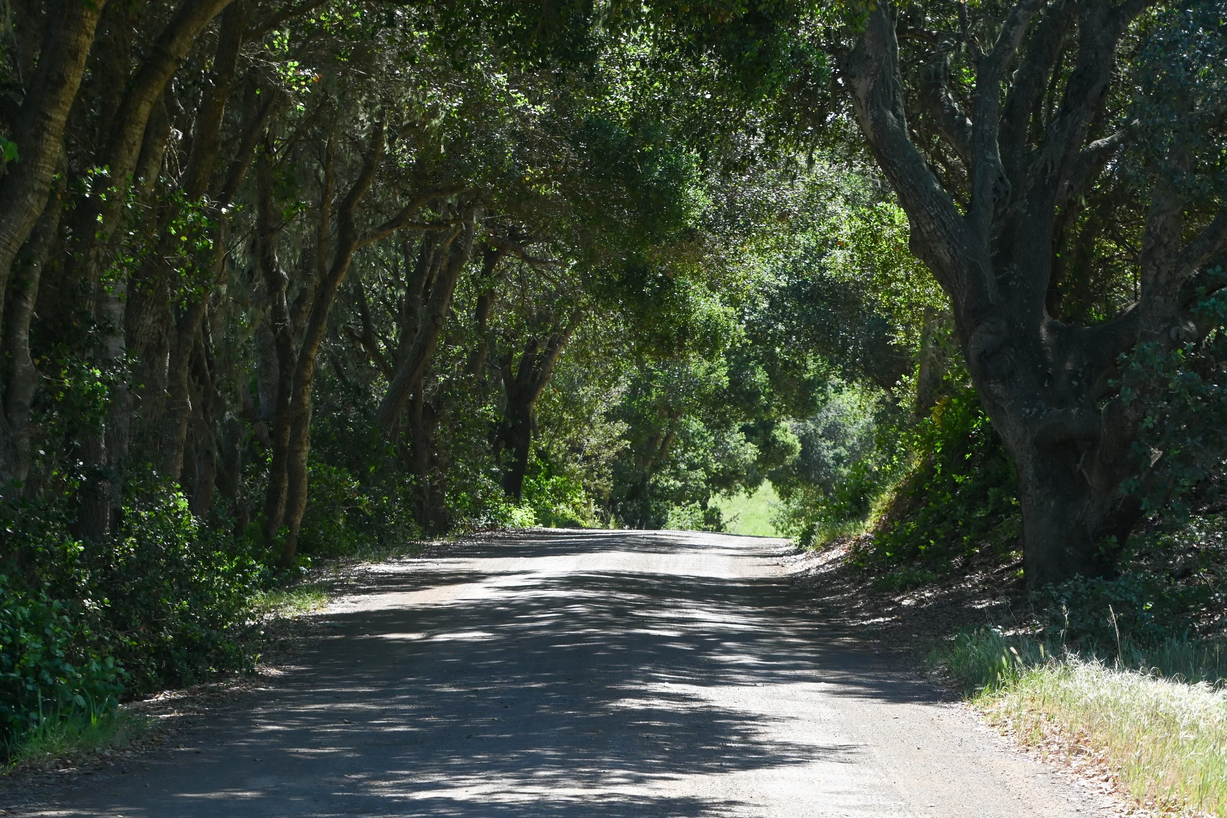 4144 Harmony Valley-1.jpg