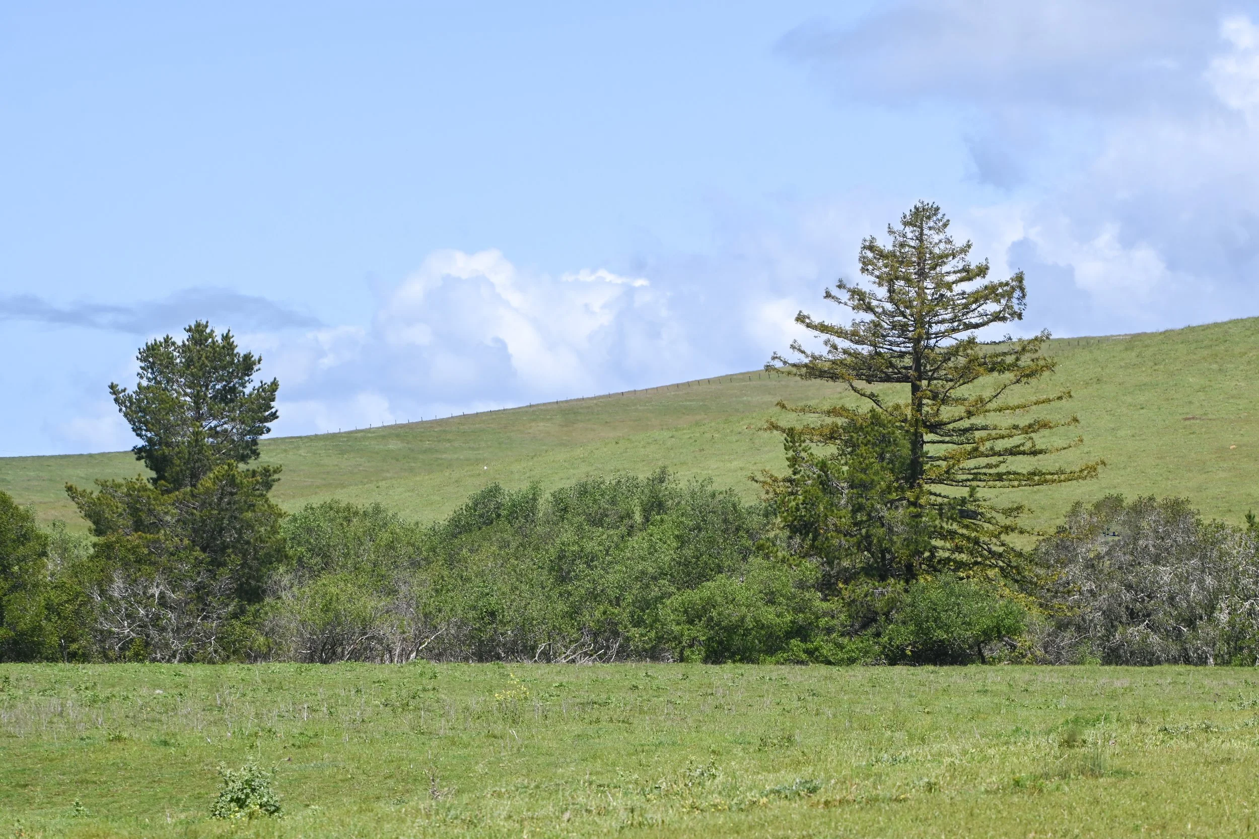 4144 Harmony Valley-3.jpg