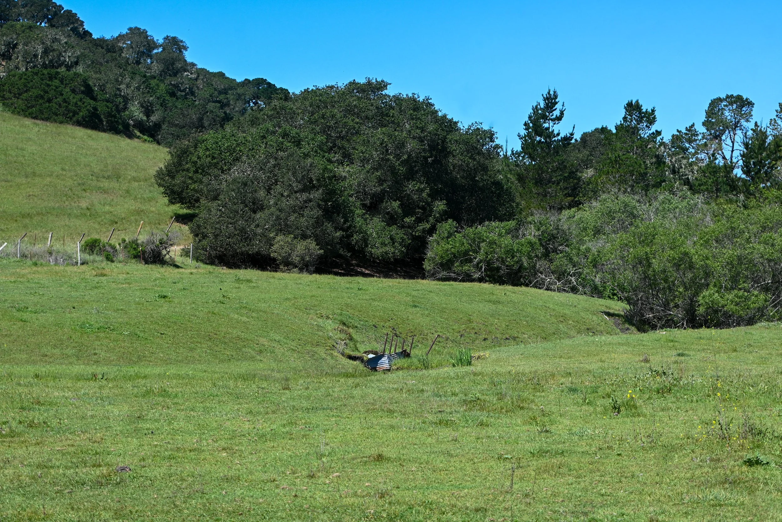 4144 Harmony Valley-4.jpg