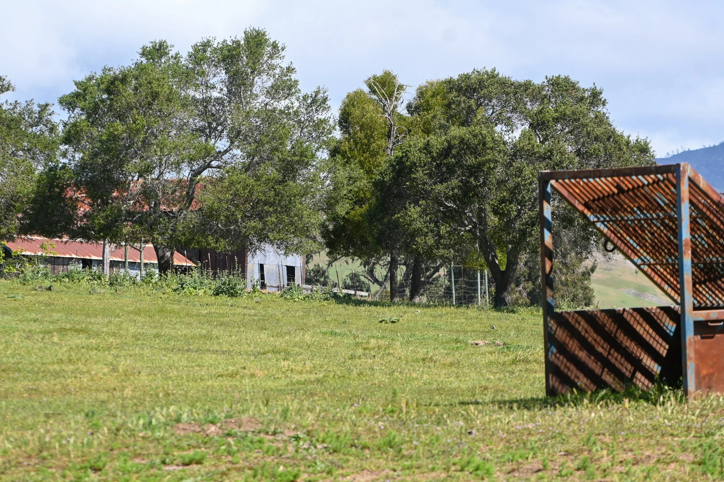 4144 Harmony Valley-6.jpg