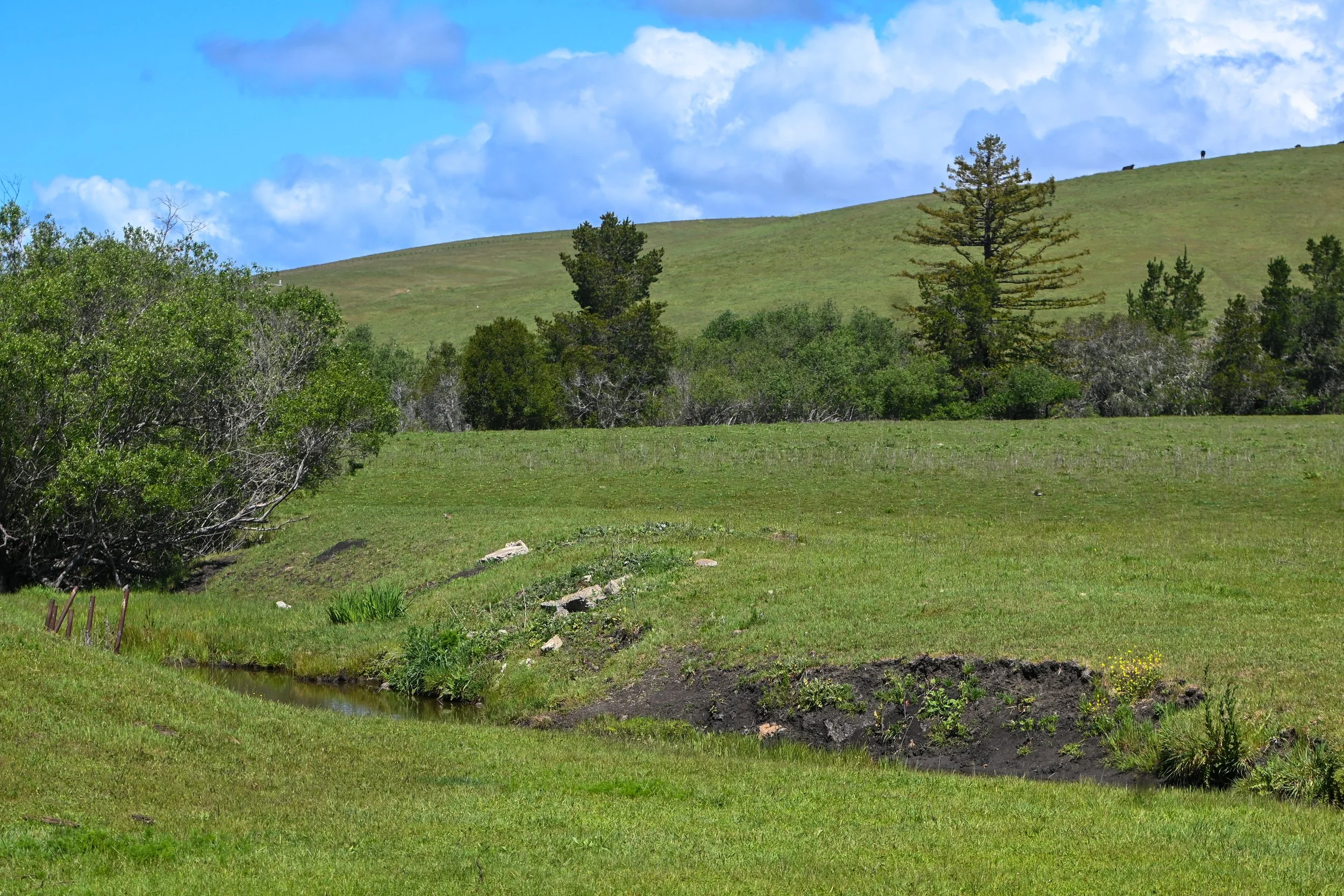 4144 Harmony Valley-9.jpg