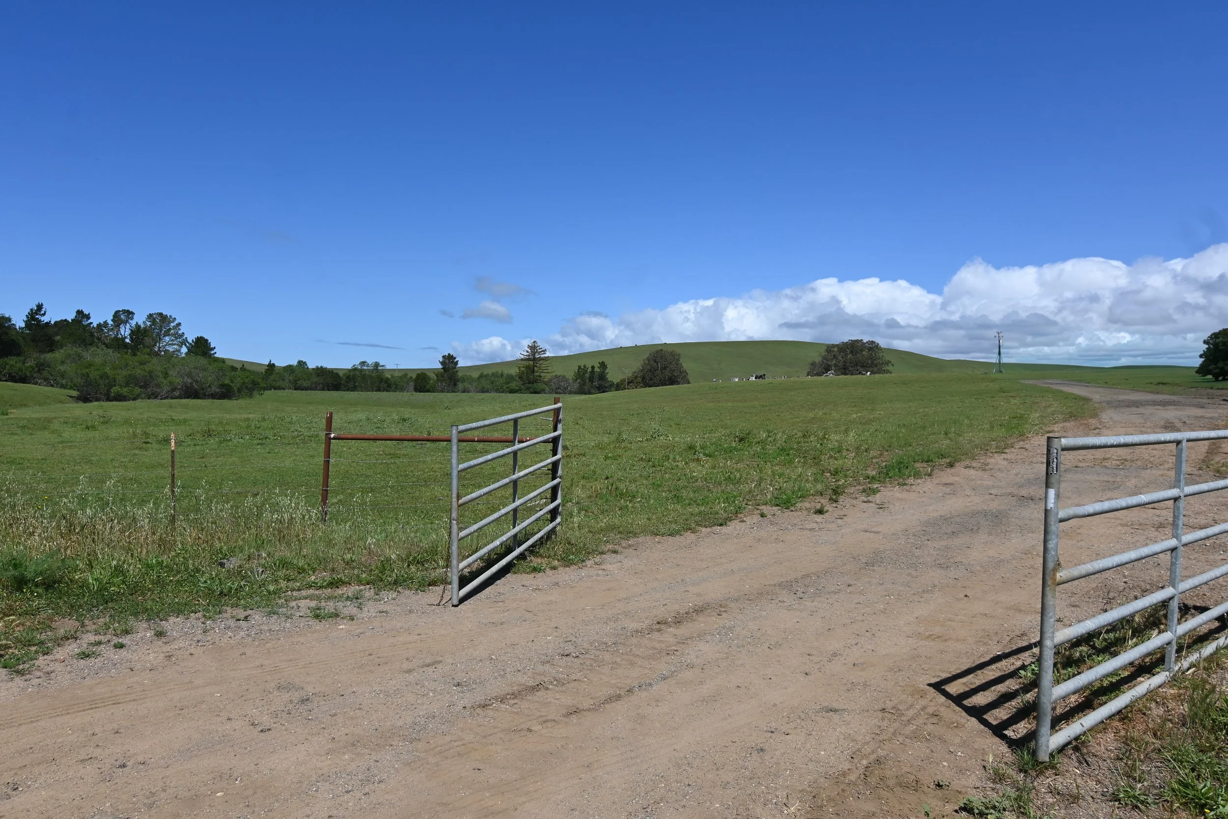 4144 Harmony Valley-16.jpg